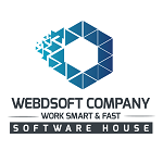 webdsoft company